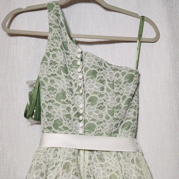 Mori Lee Madeline Gardner Formal Evening Lace Bridesmaid Wedding Fancy Full - Picture 3 of 16